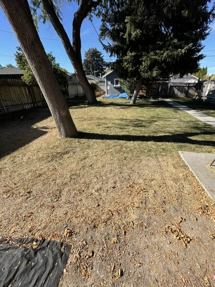 Local landscape design experts serving Meridian, ID - Weed Man