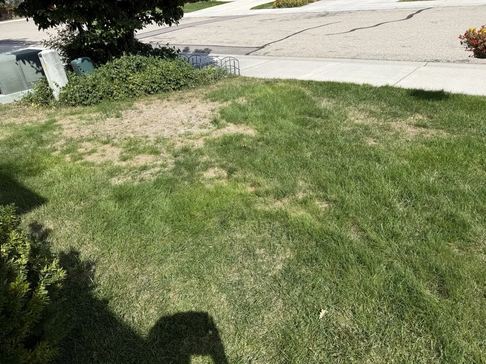 Expert lawn mowing service experts serving Meridian, ID - Weed Man