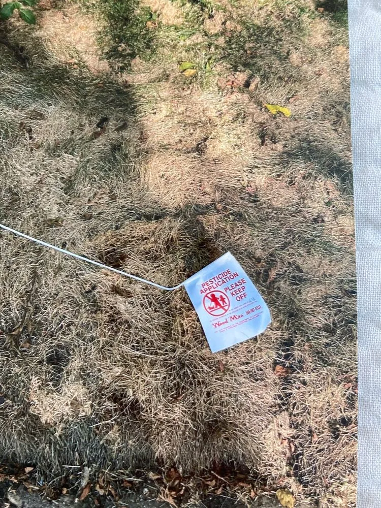 Expert yard cleanup service for year-round maintenance across Middleton, WI - Weed Man