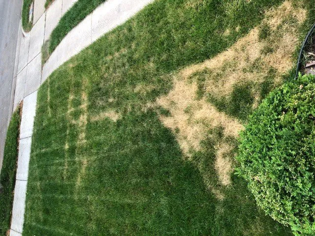 Custom outdoor landscaping in Middleton, WI - Weed Man