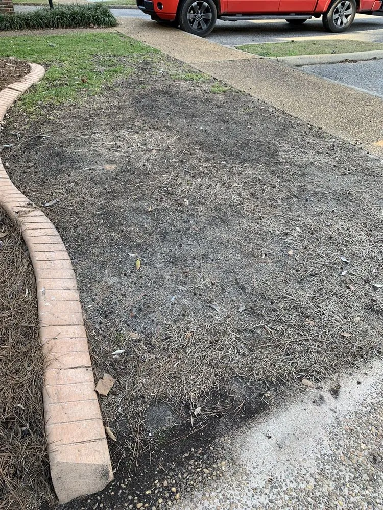 Expert yard maintenance for year-round maintenance in Montgomery, AL by Weed Man