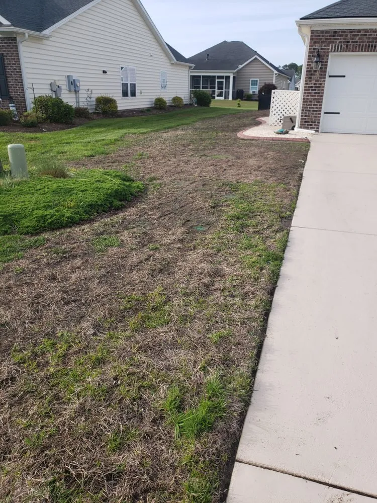 Trusted landscaping services in Myrtle Beach, SC by Weed Man