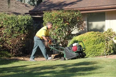 Professional lawn care service experts serving Myrtle Beach, SC - Weed Man