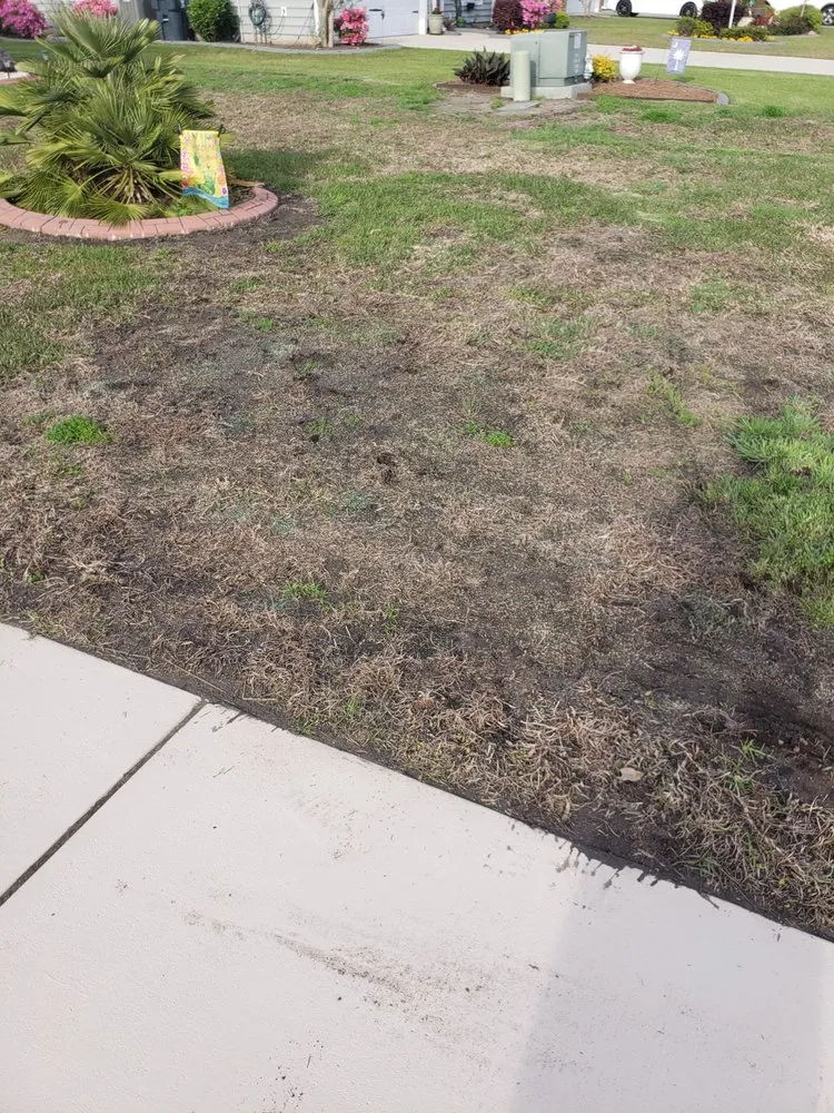 Affordable landscaping services with custom design across Myrtle Beach, SC - Weed Man