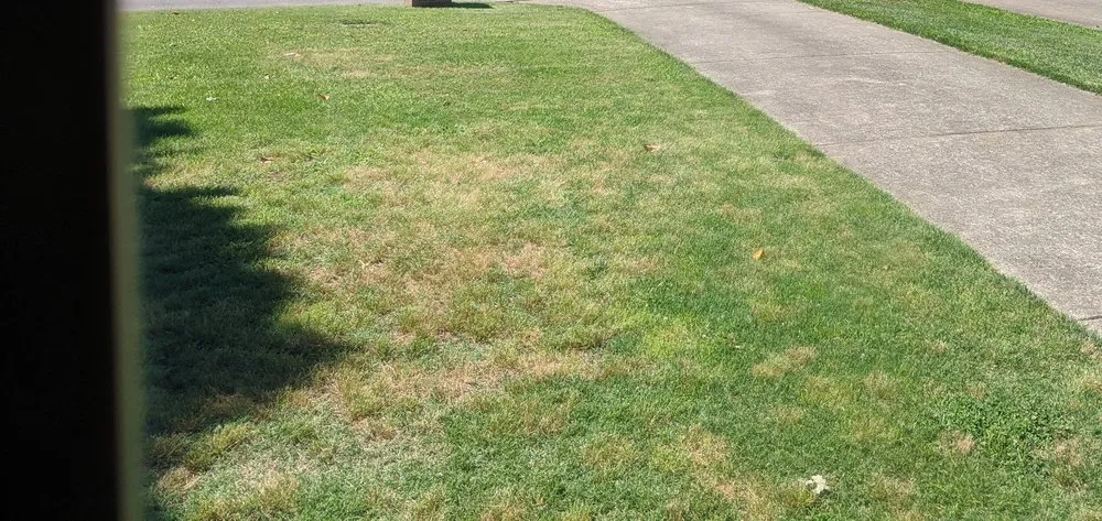 Local yard maintenance in Nashville, TN by Weed Man