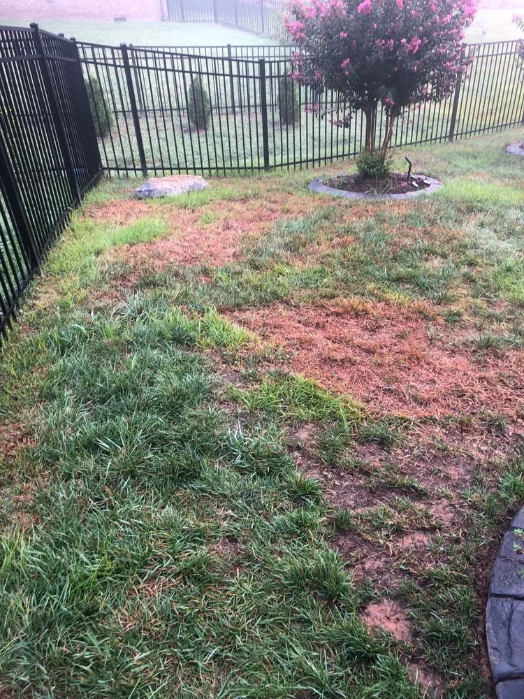 Trusted landscape design in Nashville, TN - Weed Man