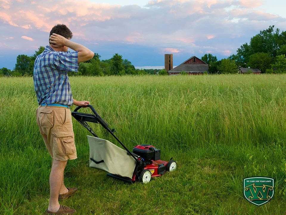 Professional landscape installation for residential properties across Nashville, TN - Weed Man