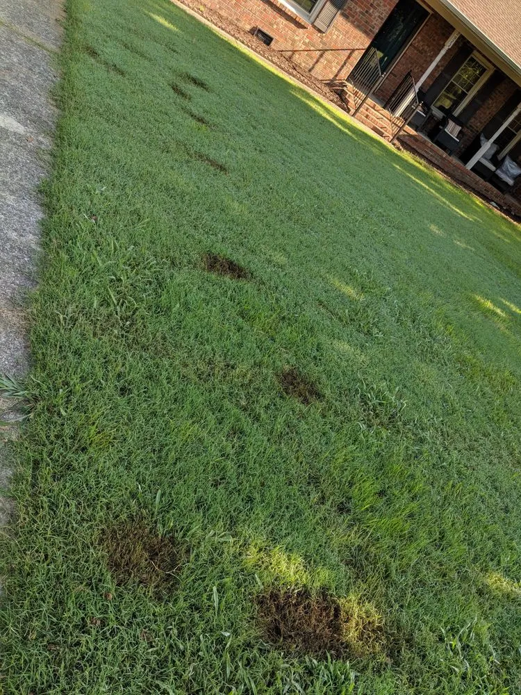 Expert outdoor landscaping for homes in Nashville, TN by Weed Man