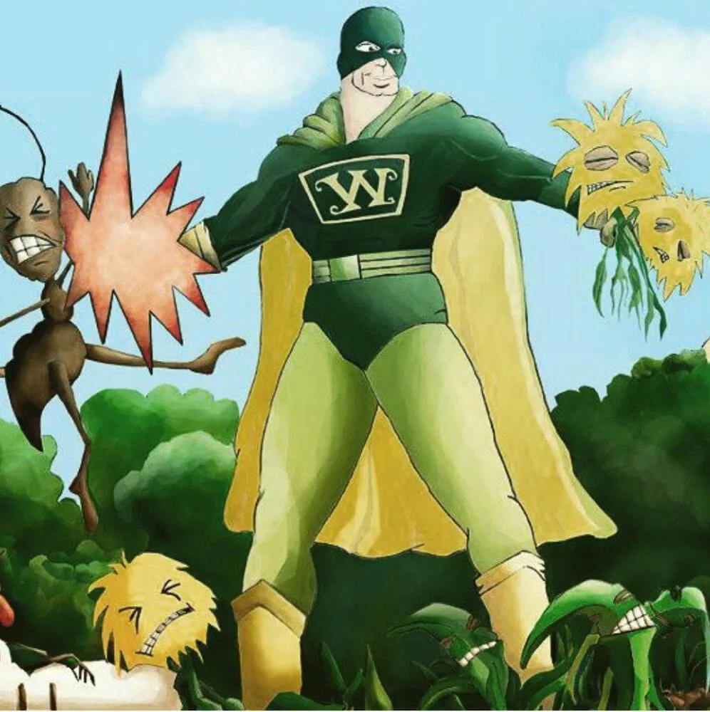 Professional landscaping services in Newtown, PA - Weed Man