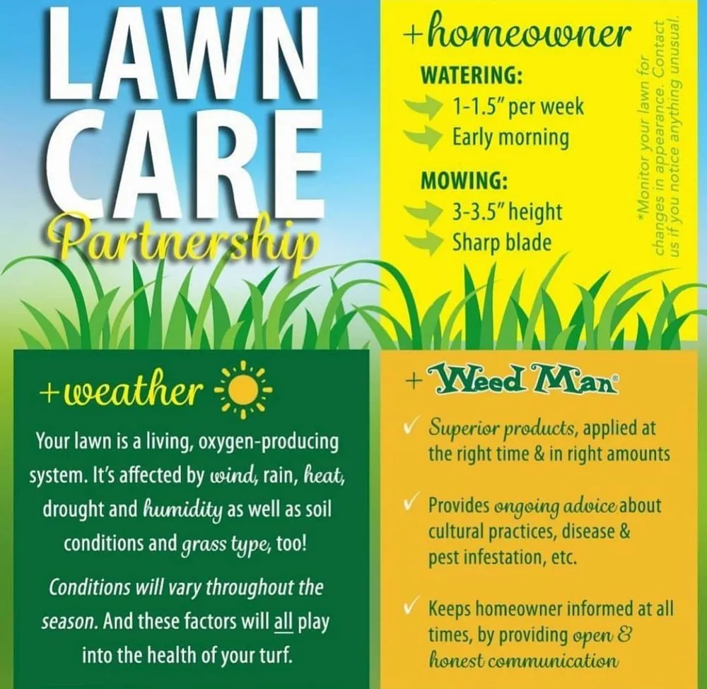 Top-rated yard maintenance in Newtown, PA - Weed Man