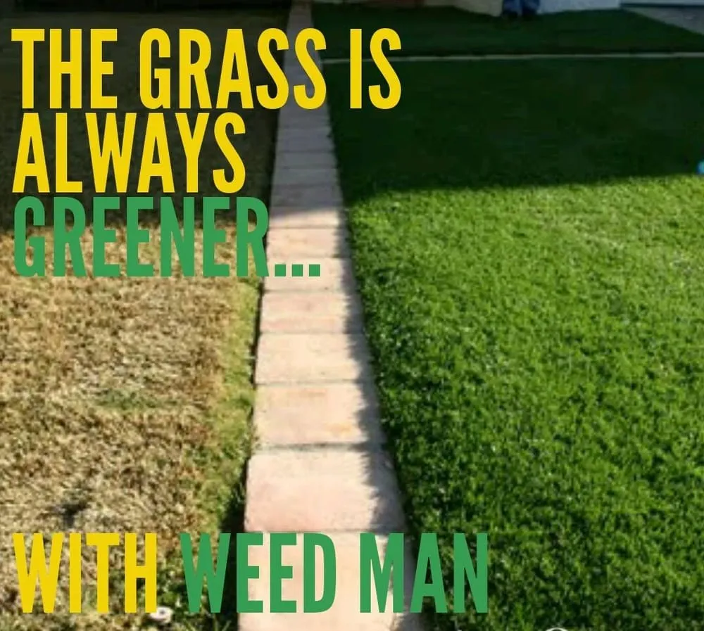 Reliable landscaping services for homes in Newtown, PA by Weed Man