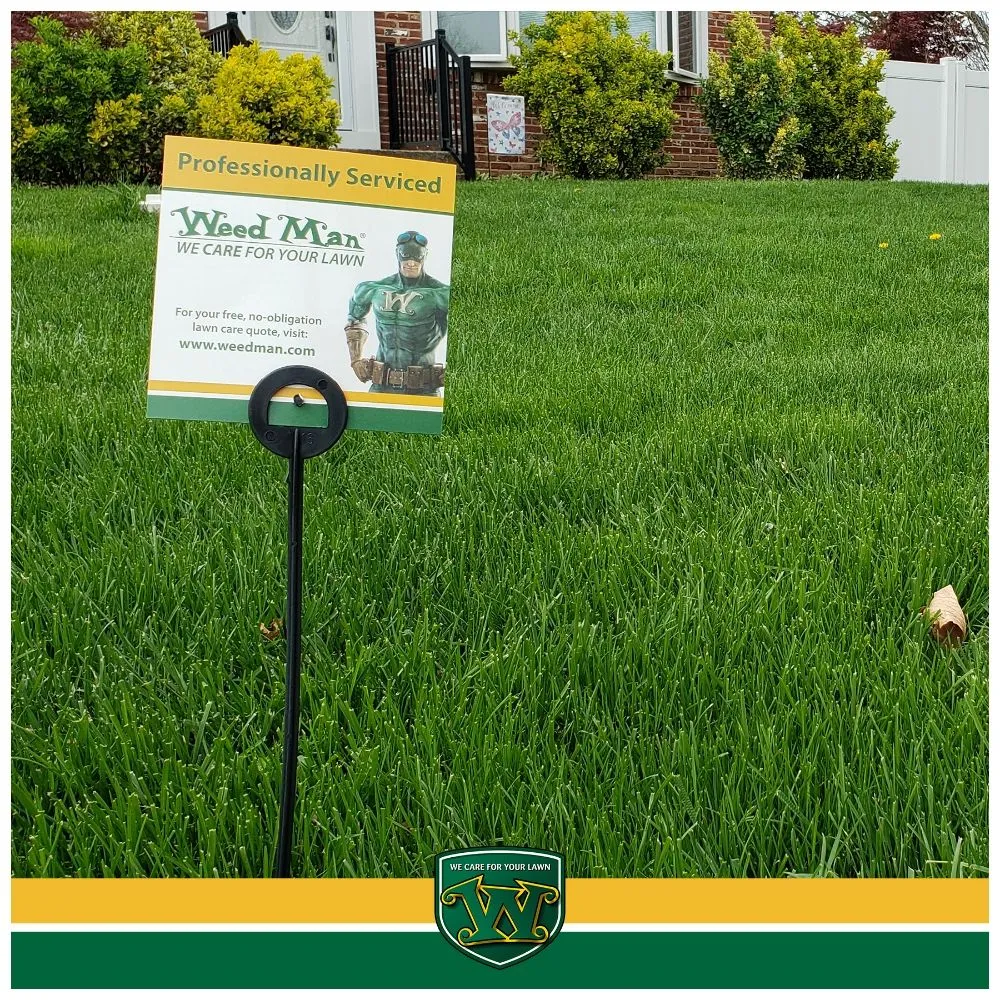 Professional lawn mowing service with custom design across Newtown, PA - Weed Man