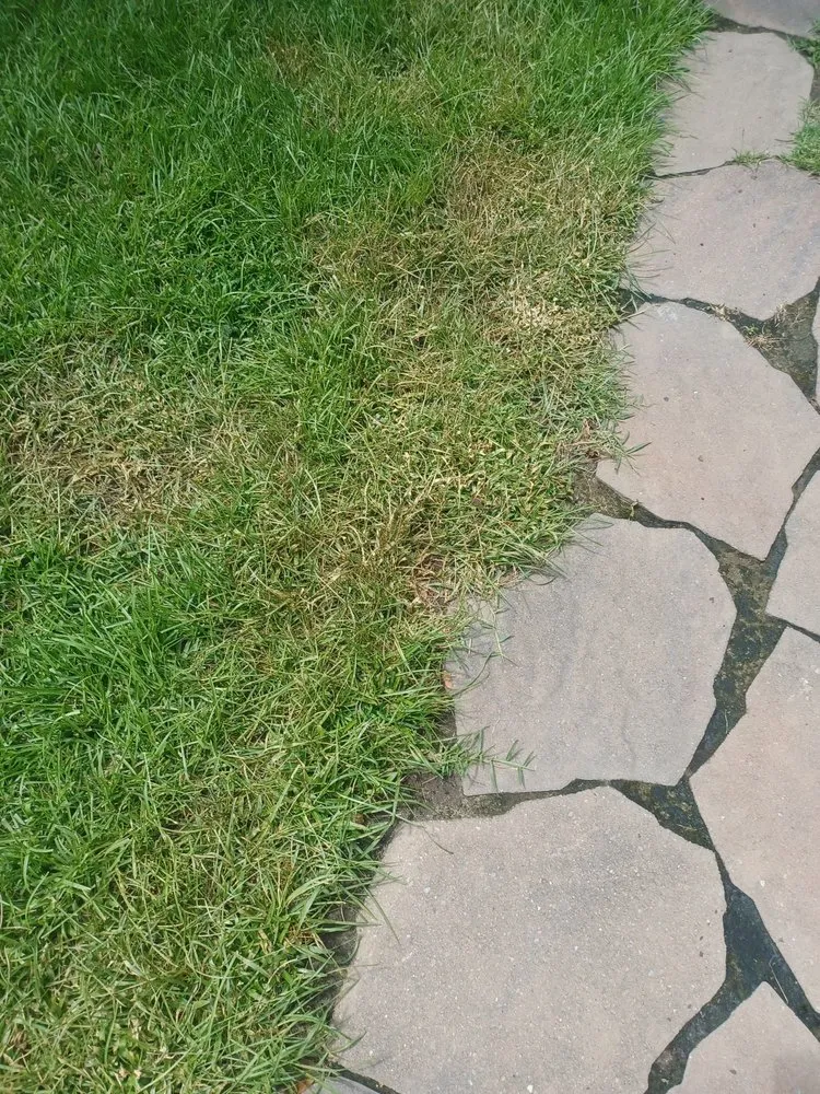 Professional outdoor landscaping in North Charleston, SC by Weed Man