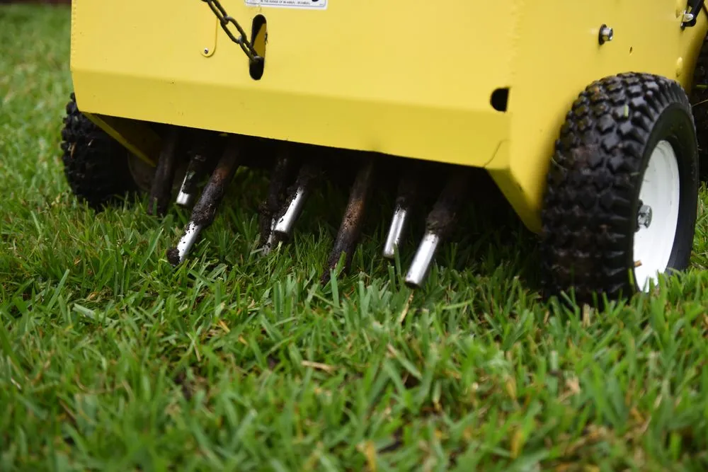 Expert yard cleanup service for outdoor upgrades across North Charleston, SC - Weed Man