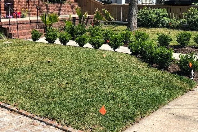 Local lawn care service in North Charleston, SC - Weed Man