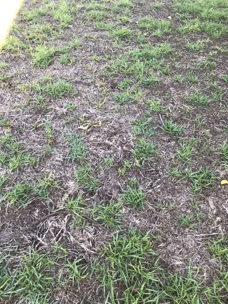 Trusted landscape installation experts serving North Charleston, SC - Weed Man