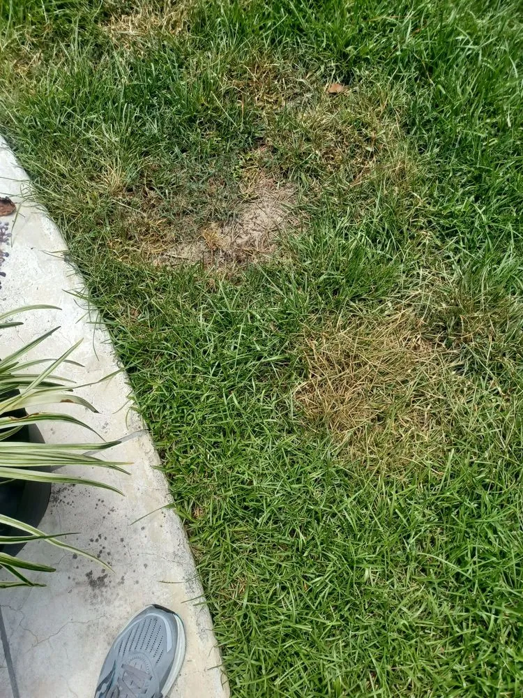 Reliable landscape installation for beautiful yards across North Charleston, SC - Weed Man