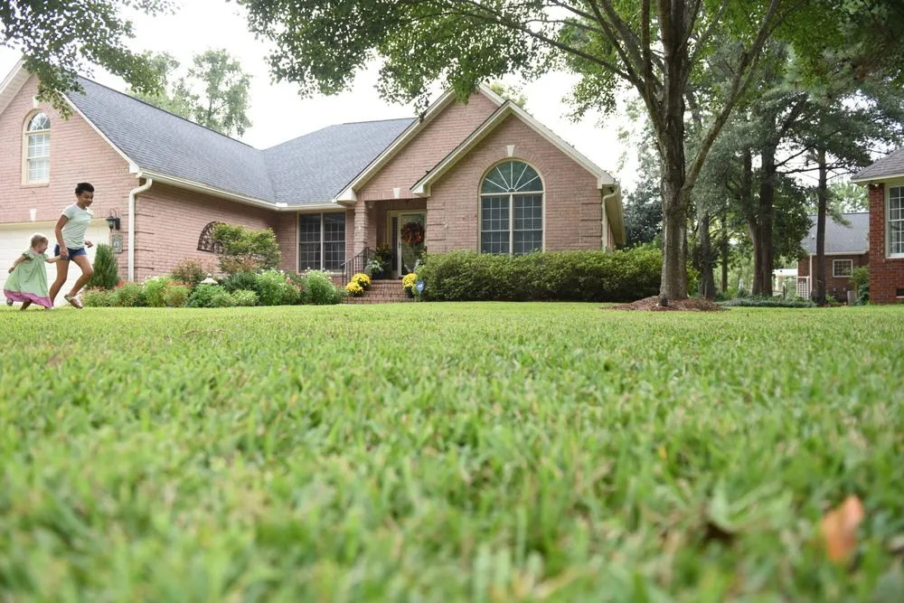 Top-rated yard maintenance for residential properties in North Charleston, SC by Weed Man