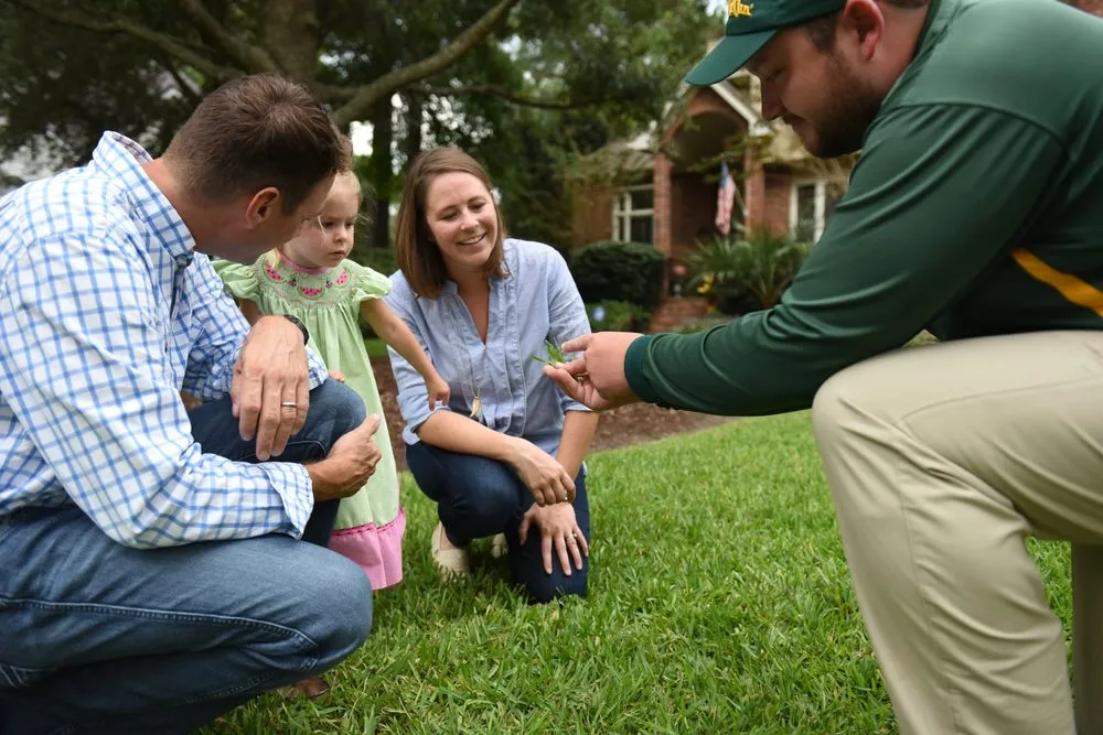 Reliable garden landscaping near you across North Charleston, SC - Weed Man