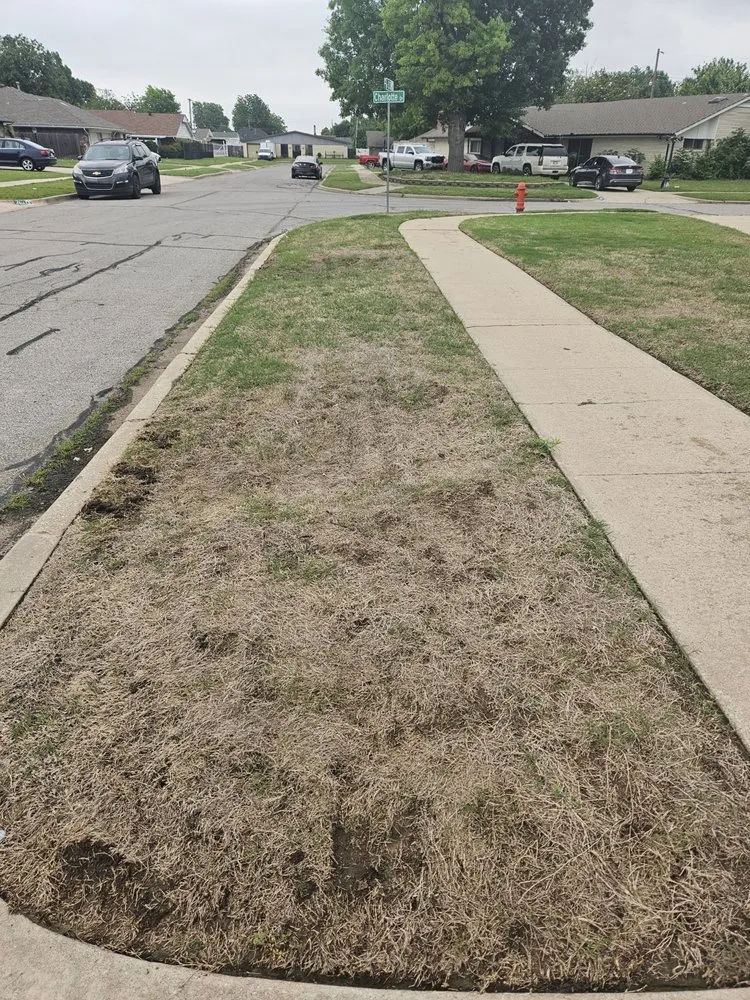 Trusted outdoor landscaping for residential properties in Oklahoma City, OK by Weed Man