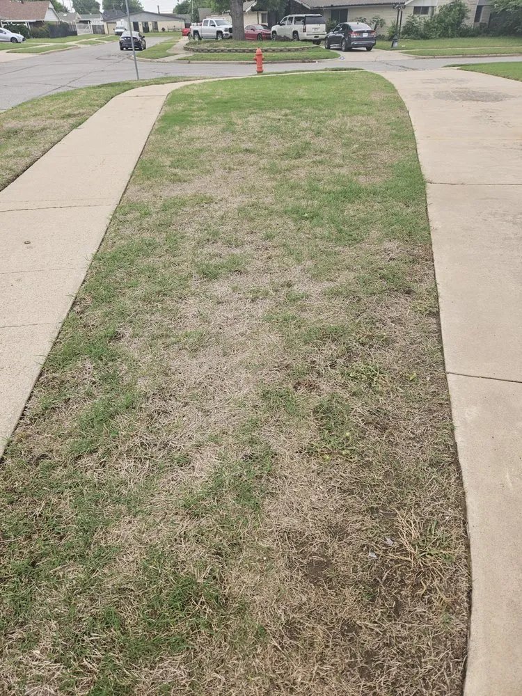 Professional lawn mowing service with custom design in Oklahoma City, OK by Weed Man