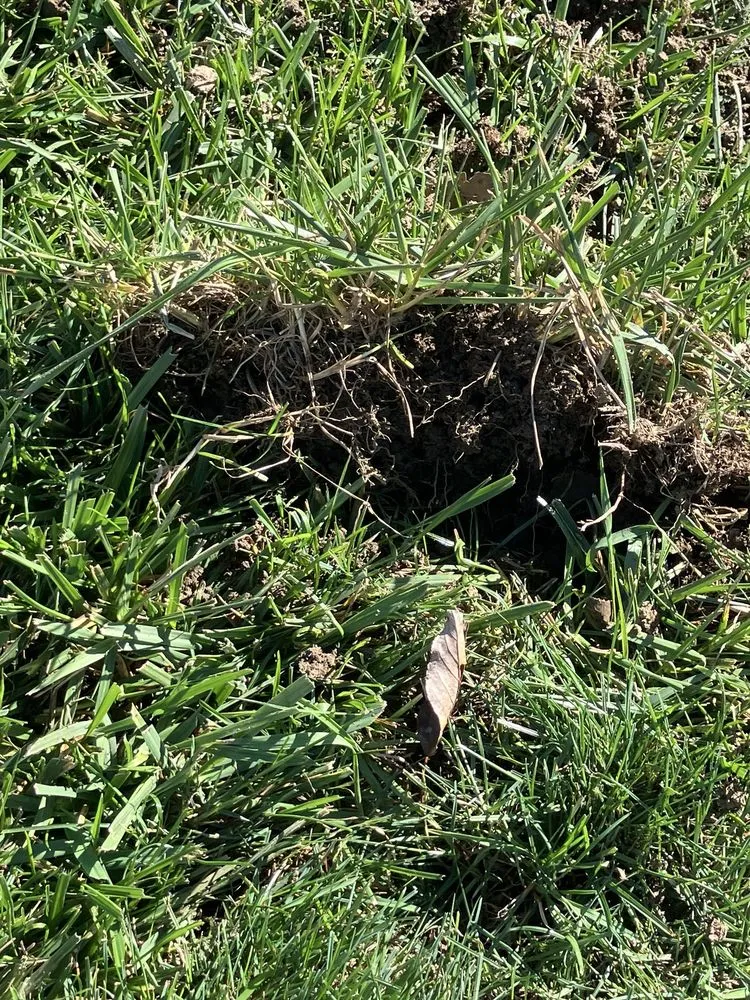 Custom landscape design for residential properties in Plain City, OH by Weed Man