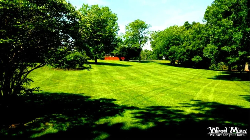 Expert garden landscaping with custom design in Plain City, OH by Weed Man