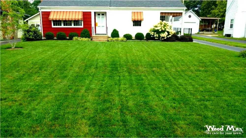 Affordable lawn care service for outdoor upgrades across Plain City, OH - Weed Man