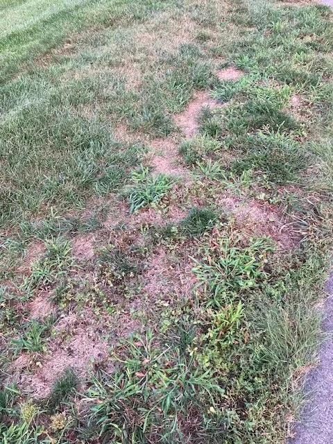 Trusted outdoor landscaping in Plain City, OH - Weed Man