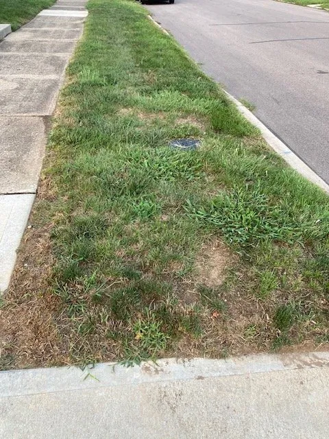 Top-rated lawn mowing service in Plain City, OH by Weed Man