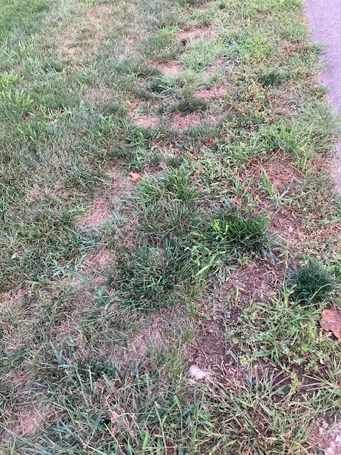 Affordable residential landscaping for beautiful yards across Plain City, OH - Weed Man