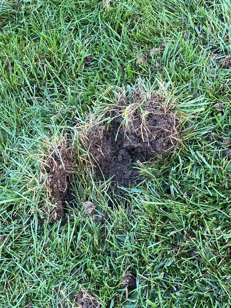 Professional garden landscaping in Plain City, OH by Weed Man