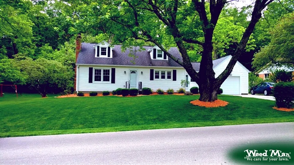 Trusted lawn mowing service in Plain City, OH - Weed Man