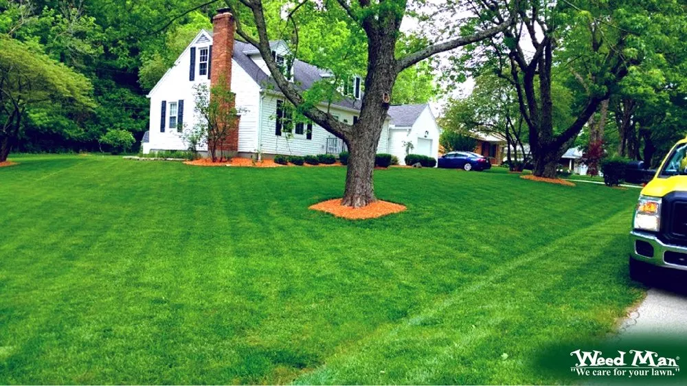 Affordable lawn mowing service experts serving Plain City, OH - Weed Man