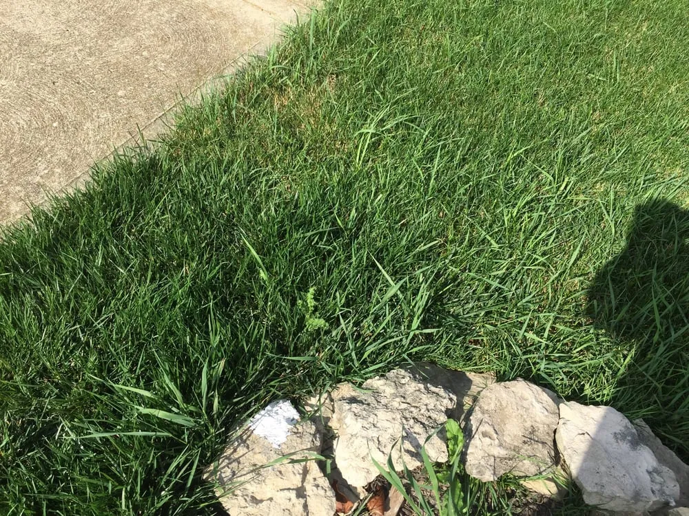 Local outdoor landscaping for outdoor upgrades across Plain City, OH - Weed Man