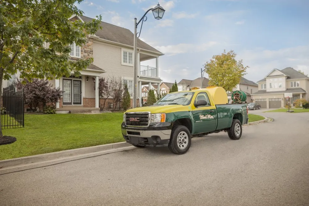 Custom yard cleanup service experts serving Purcellville, VA - Weed Man