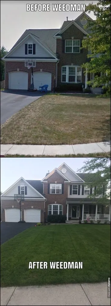 Local yard cleanup service near you in Purcellville, VA by Weed Man