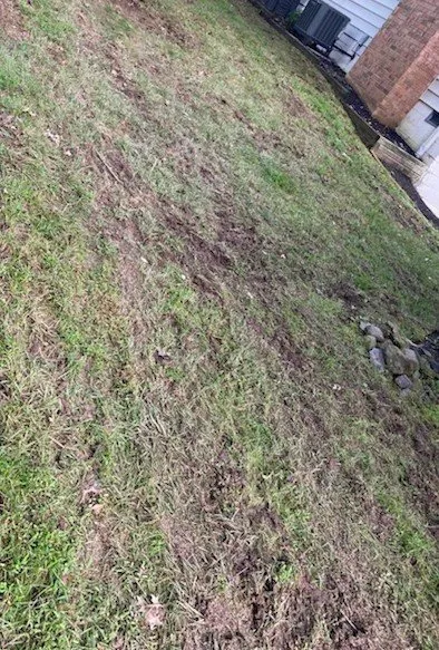 Trusted landscape design for homes in Purcellville, VA by Weed Man