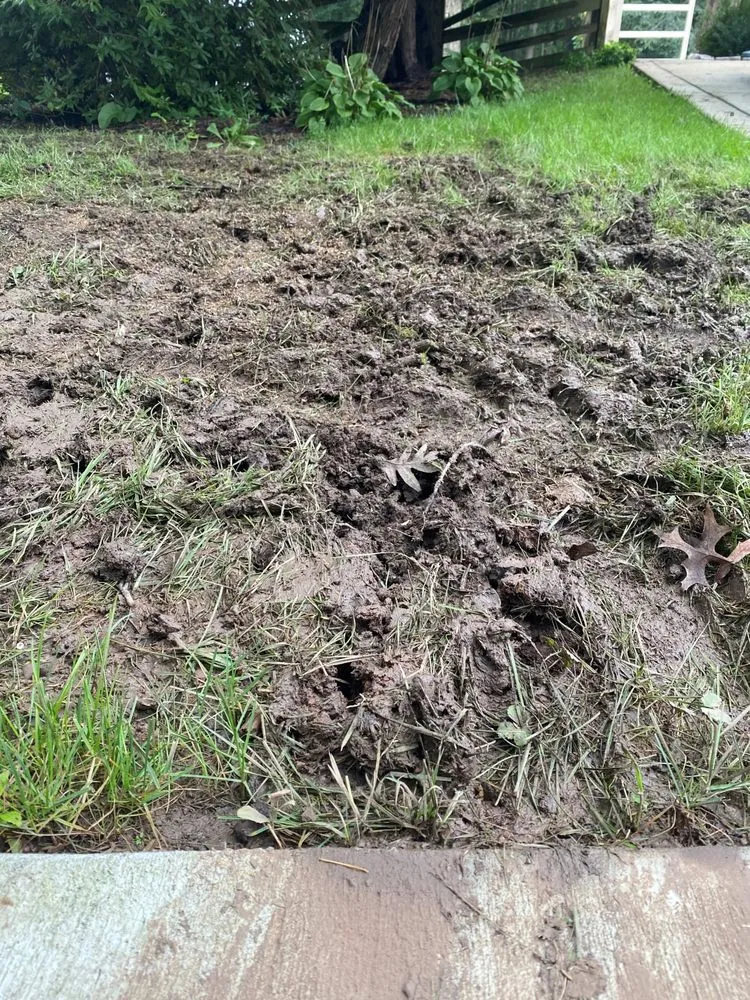 Professional garden landscaping experts serving Purcellville, VA - Weed Man