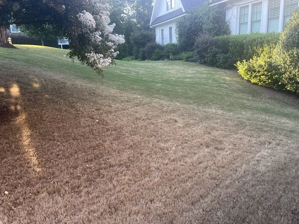 Expert residential landscaping experts serving Raleigh, NC - Weed Man