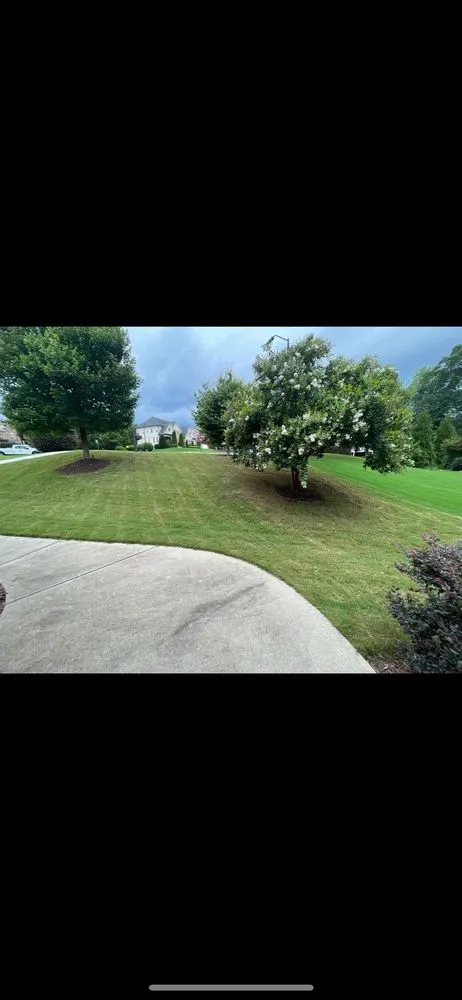 Professional yard cleanup service for outdoor upgrades across Raleigh, NC - Weed Man