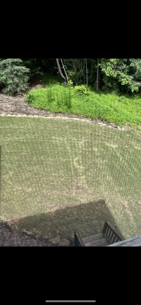 Local yard cleanup service experts serving Raleigh, NC - Weed Man