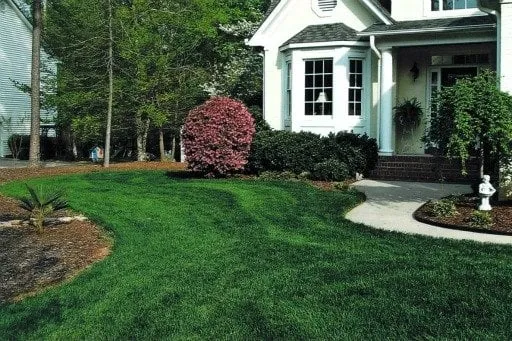Affordable garden landscaping for residential properties in Raleigh, NC by Weed Man