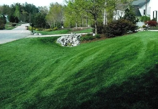 Reliable lawn mowing service for residential properties in Raleigh, NC by Weed Man