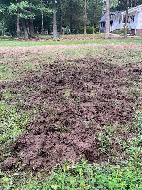 Trusted residential landscaping for beautiful yards in Raleigh, NC by Weed Man