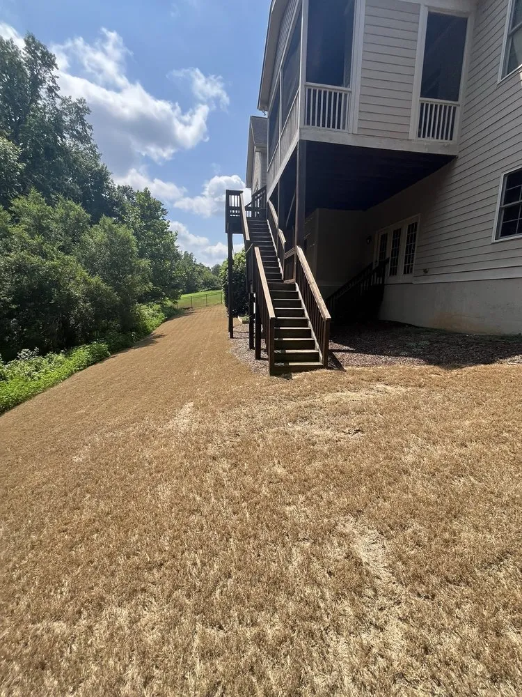 Affordable residential landscaping for year-round maintenance in Raleigh, NC by Weed Man