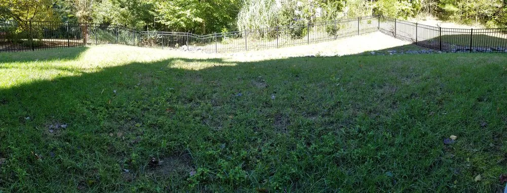 Trusted landscape design for outdoor upgrades in Raleigh, NC by Weed Man