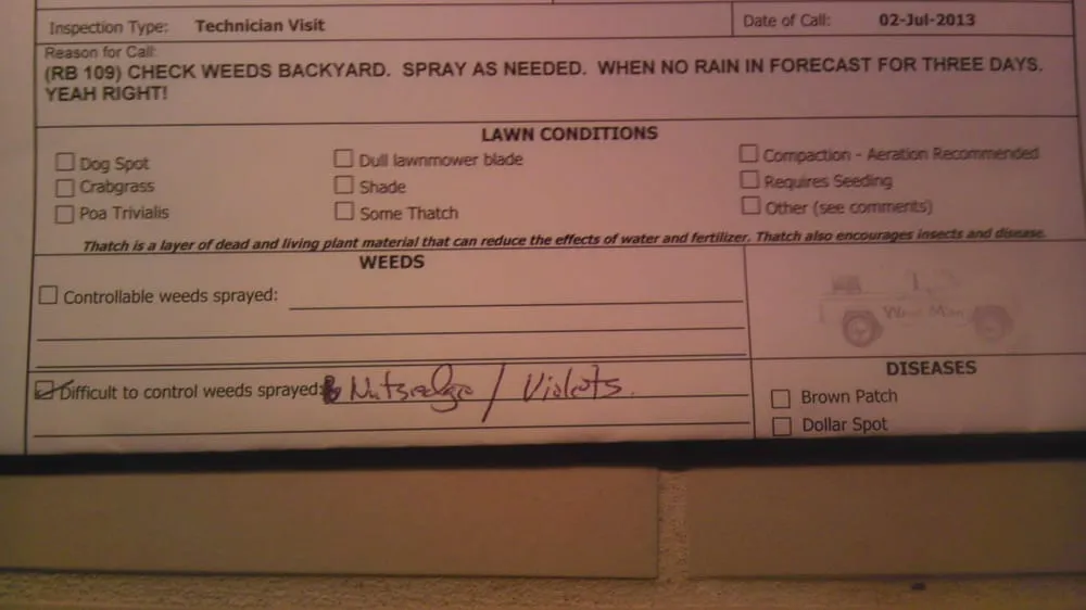 Custom lawn mowing service in Raleigh, NC - Weed Man