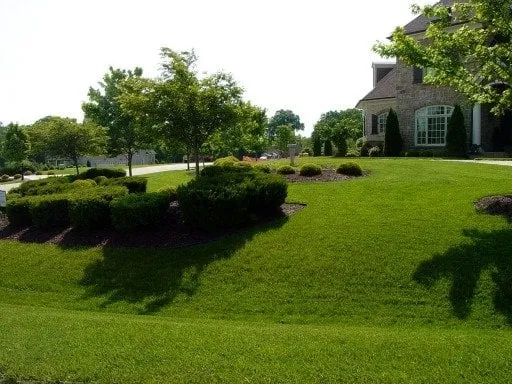 Local landscaping services in Raleigh, NC - Weed Man