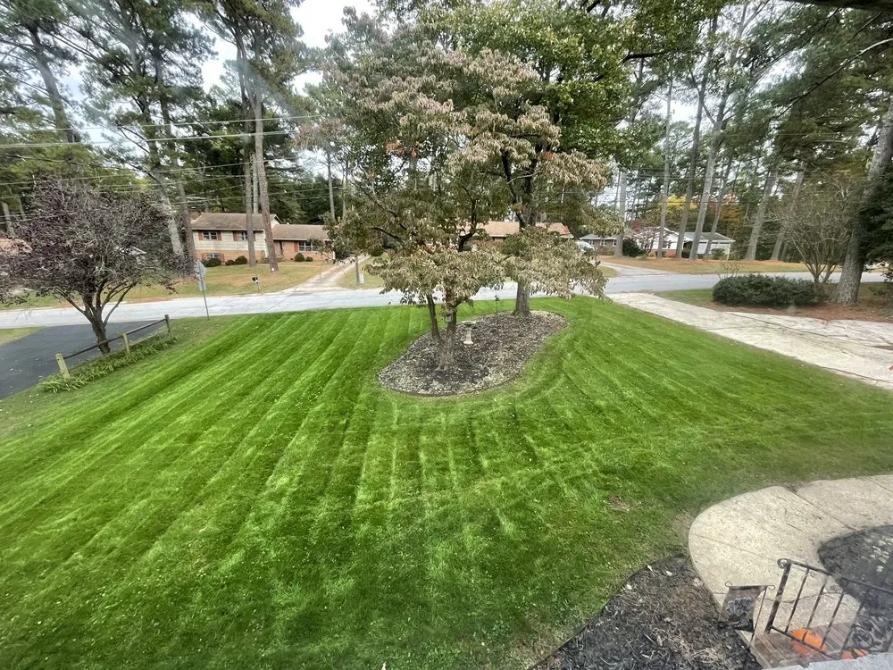 Reliable landscaping services experts serving Raleigh, NC - Weed Man